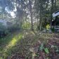 13115 SE 38th Ct, Belleview, FL 34420 ID:16204837