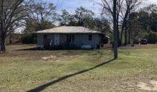 2362 BODIFORD RD Pansey, AL 36370